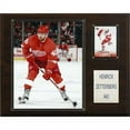 thumbnail image 1 of NHL Henrik Zetterberg Detroit Red Wings Player Plaque, 1 of 1