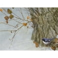 thumbnail image 2 of Vest, Chris 14x12 White Modern Wood Framed Museum Art Print Titled - Late Snow Warbler, 2 of 4