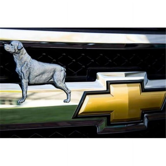 Grillie Rotweiller-P Rotweiller Antique Pewter Ornament, 4.75 x 5.5 in.