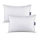 thumbnail image 1 of Almohada ajustable Sonno Hipoalergénica 2 pack Queen, 1 of 7