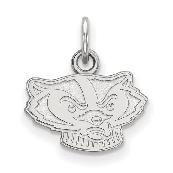 Sterling Silver LogoArt University of Wisconsin Badger Extra Small Pendant Charm