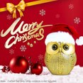 thumbnail image 4 of QT - Christmas Inflatable Luminous Christmas Balloon 60cm GreenAH1357, 4 of 8