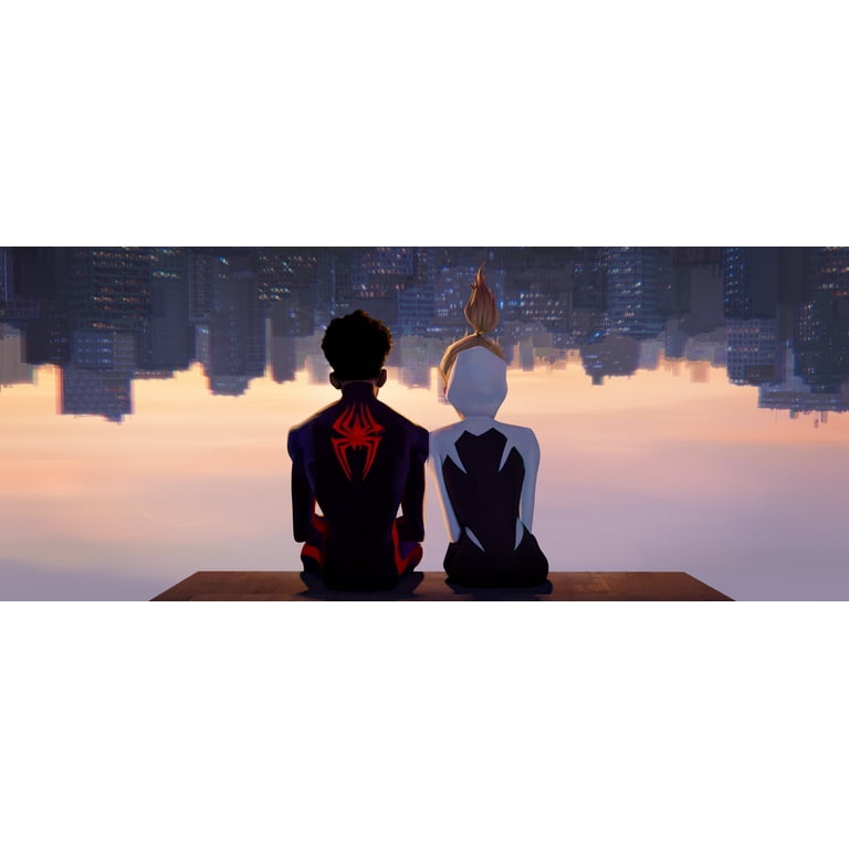 Spider-Man: Across The Spider-Verse - DVD + Digital