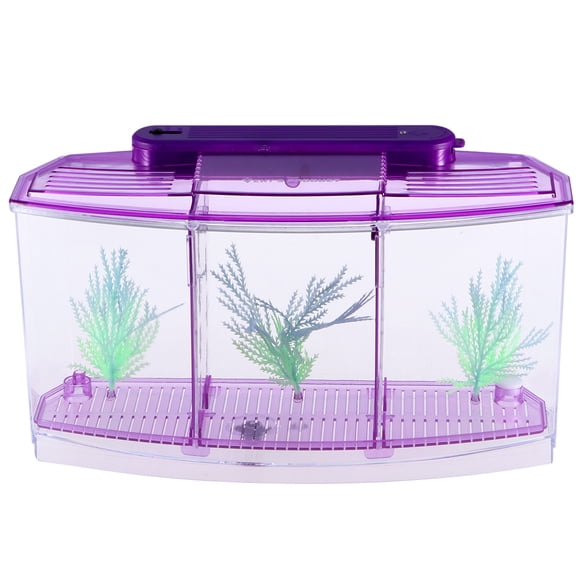 EeaseMX Mini acuario autolimpiable de escritorio, ecológico, cuadrado, para peces dorados, ideal para el hogar y la tienda (morado)