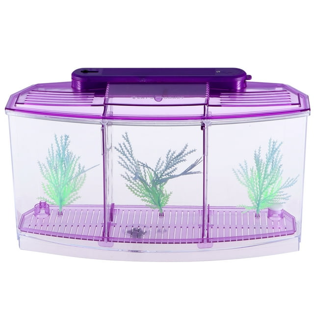 EeaseMX Mini acuario autolimpiable de escritorio, ecológico, cuadrado, para peces dorados, ideal para el hogar y la tienda (morado)