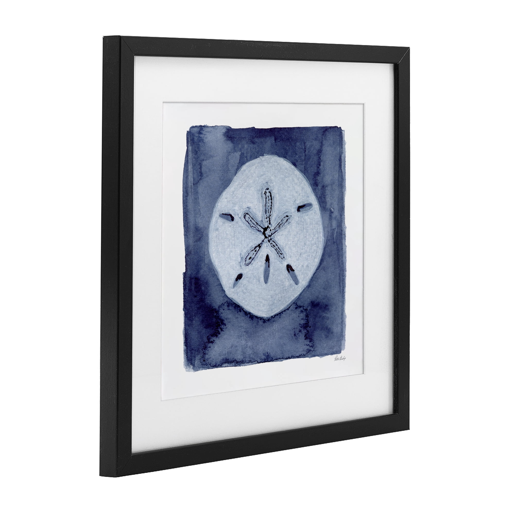 Stupell Industries White Sand Dollar on Indigo Black Framed Print Under Glass, design by Patti Bishop