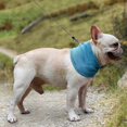 thumbnail image 2 of Breathable Soft Scarf for Small Medium Large Dogs Cats Kerchiefs Neck Cooler Chill Down Dog Ice Bandana Instant Cooling L, 2 of 4