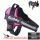 thumbnail image 2 of Dog Harness ID Custom patch Reflective Breathable Pet Vest For Outdoor Walk ShopWise Round, 2 of 16