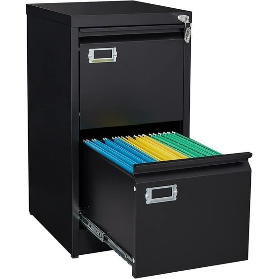 2 Drawer File Cabinet,Black Metal File Cabinets with Lock,Vertical Filing Storage Cabinets fits A4 or Letter Size for Home Office(Assembly Required)