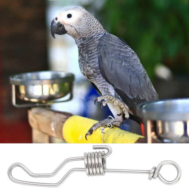 Bird Foot Ring, 1PCS Stainless Steel Parrots Training Foot Ring, Small Cage Foot Ring Parrots For Bird