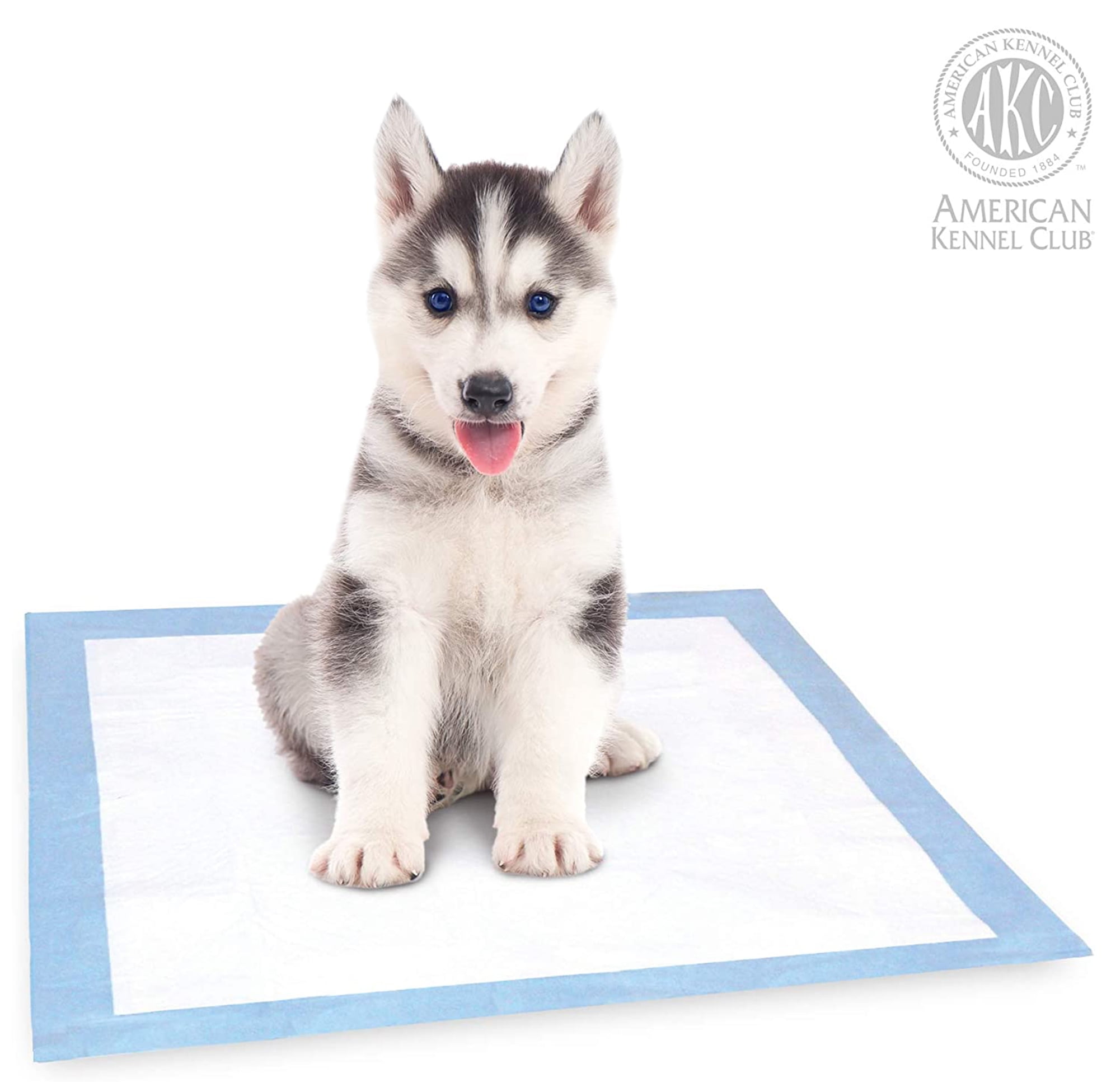 Akc puppy cheap training pads