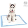 thumbnail image 6 of American Kennel Club Fresh Scent Training Pads, 22"X22", 100ct, 6 of 11