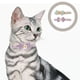 thumbnail image 5 of 2 collares ajustables para gatos con estampados florales y lazo para gatitos, 5 of 8