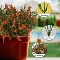 thumbnail image 6 of Coolmade Artificial Lavender Flowers Plants 8 Bundles UV Resistant Faux Outdoor Plastic Greenery Shrubs Plants Hanging Planter Kitchen Home Wedding Office Garden Decor (Orange Red), 6 of 7