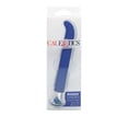 thumbnail image 5 of CalExotics Risqué 10-Function "G-Spot" Memory Chip Vibrator - Blue, 5 of 6