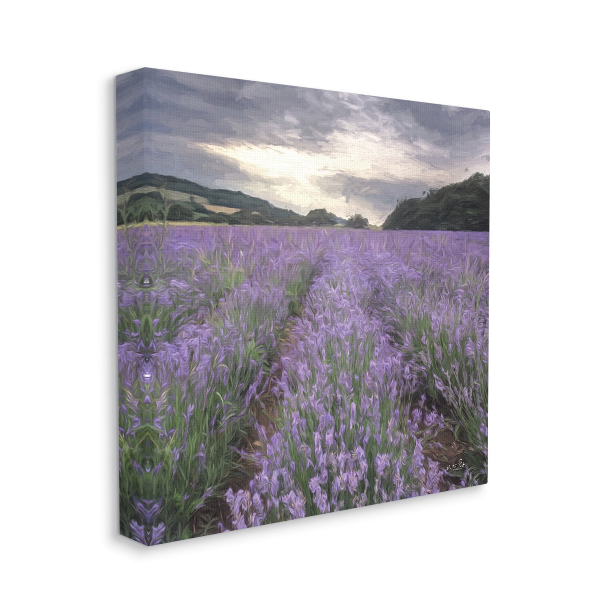 Stupell Lavender Fields Sunlit Clouds Botanical & Floral Photography Gallery Wrapped Canvas Print Wall Art