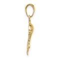 thumbnail image 2 of FJC Finejewelers 10k Yellow Gold Dolphin Swimming Charm, 2 of 6