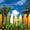 Surfboard Row, variant on Elephant Stock Surfboard Row Wall Art - Horizontal Canvas Wall Art - Living Room Wall Decor - Hobbies And Lifestyle Canvas - Blue And Orange Decor - 12" x 8"