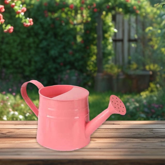 Lata para niños agua de jardinería lata de los niños hierro para plantas de exterior de interior pequeña tetera para plantas de interior Rosa