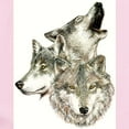 thumbnail image 2 of CafePress - Three Wolves Body Suit - Baby Light Bodysuit, Size Newborn - 24 Months, 2 of 4