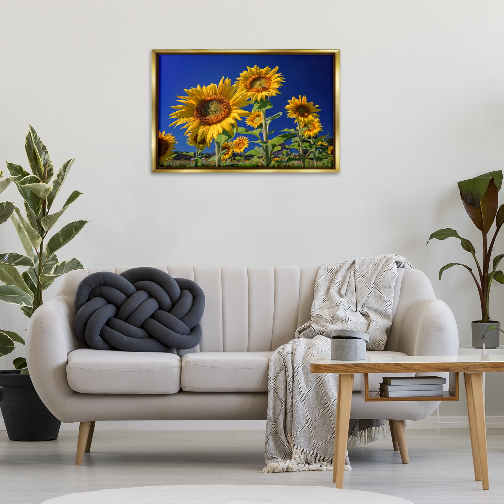 Stupell Industries Bright Sunflowers with Blue Sky Plants & Flowers Photography Gold Floater Framed Canvas Art Print Wall Art, 31 x 21