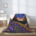 thumbnail image 2 of Hirioo Galactic Night Over Meadow for Flannel Blanket, Cozy and Warm Throw for Bed or Couch ,Perfect for All Seasons-80"x60", 2 of 6