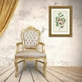 thumbnail image 3 of Audubon, John James 10x14 Gold Ornate Wood Framed with Double Matting Museum Art Print Titled - Brown headed Worm eating Warbler, 3 of 4