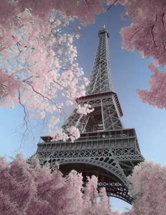 Eiffel Tower Infrar