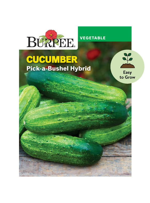 Burpee Pick-a-Bushel Hybrid Cucumber Seeds - Non-GMO, Easy to Grow, Vegetable Gardening Seeds, 470mg, 1-Pack