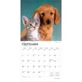 thumbnail image 4 of Kittens & Puppies | 2026 12x24" (Hanging) Square Wall Calendar | Plastic-Free, 4 of 9