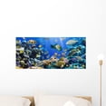 thumbnail image 1 of Coral Colony and Coral Wall Decal by Wallmonkeys Peel and Stick Graphic (24 in W x 11 in H) WM324341, 1 of 4