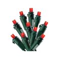 thumbnail image 1 of Celebrations 47622-71 Red Micro LED Indoor &amp; Outdoor 50 Light Set, 1 of 1