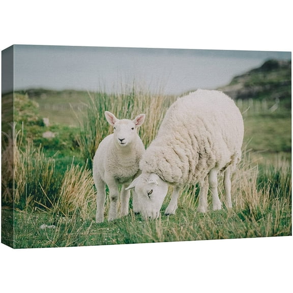 wall26 Canvas Print Wall Art Scotland Ireland Countryside Farm Sheep Lamb Nature Animals Photography Realism Rustic Scenic Landscape Wilderness Zen Colorful for Living Room, Bedroom, Office - 24&quot