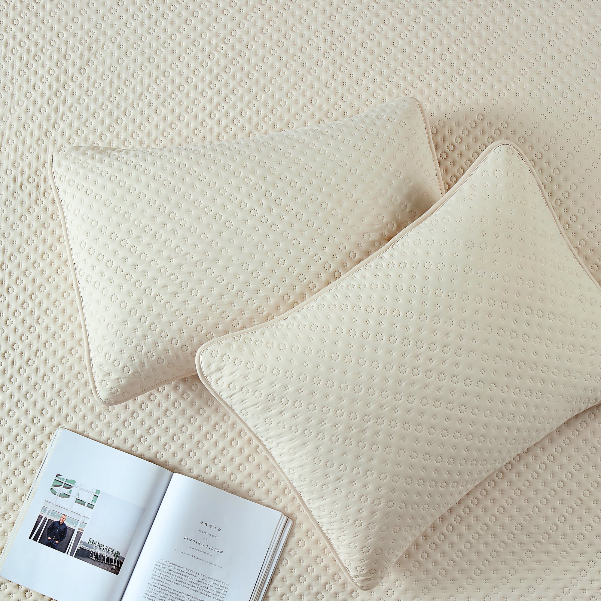 King Size Quilt Set, GREAGLE 3-Piece 120gsm Soft Warm Light Weight Ultrasonic Bedspread Reversible Comforter Velvet Bedding Set, Beige