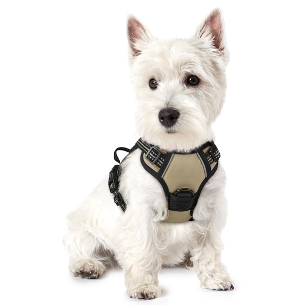 Arnés para perros Rabbitgoo, ajustable, acolchado suave, sin tirones, XS