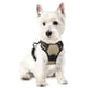 thumbnail image 1 of Arnés para perros Rabbitgoo, ajustable, acolchado suave, sin tirones, XS, 1 of 7