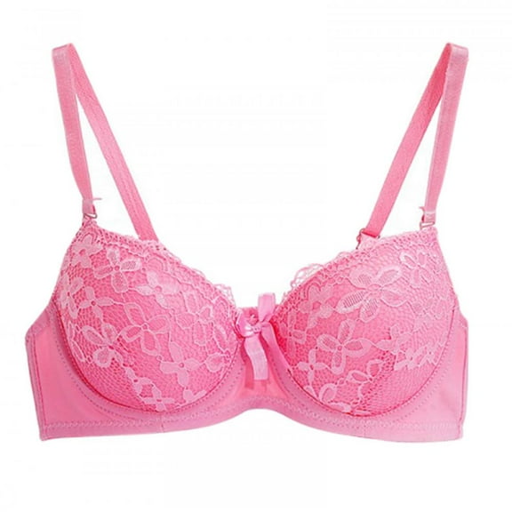 Saient Lace Push Up Lingerie Women's Bra Underwear Adjusted-straps Embroidery Floral Bralette