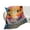 DCCJX1chudan-3XN, variant on Sunset Jumping Dolphin for Women Men Kids Flannel Throw Blankets Soft Fuzzy Lightweight for Home Decor Couch Bed Sofa