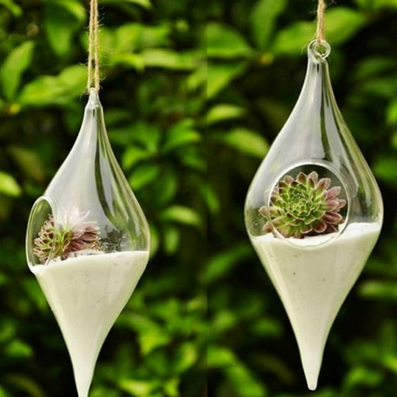 Transparent Olive Vase for Plants Flowers Decoration in Bedroom Living Room Office 23cm H