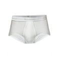 thumbnail image 3 of Stanfield's Men's 3 Pack Premium Cotton Regular Rise Briefs Underwear, 3 of 5
