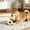 Yellow, variant on QIUXUJ-Dog Toys Squeaky Cheese – Shaped Calming Game Sound, Plush Pet Teething Home, Indoor Outdoor Playtime Family Enrichment, Indoor Outdoor Playtime Family Enrichment Training Exercise (Orange)