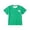 Green, variant on Boys Dinosaur Print Short Sleeve T-Shirt, Front Mini T-Rex and Back Big Dino Graphic Crewneck Tee, Soft Casual Everyday Top for Kids School Outdoor Wear(Pink,4-5 Years)