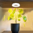 thumbnail image 2 of Billuyoard Lámpara LED ABS para plantas, luz de cultivo | Luces de cultivo de espectro completo para plantas Luz vegetal para plantas de interior Jardín y Patio do Luz blanca cálida, 2 of 6