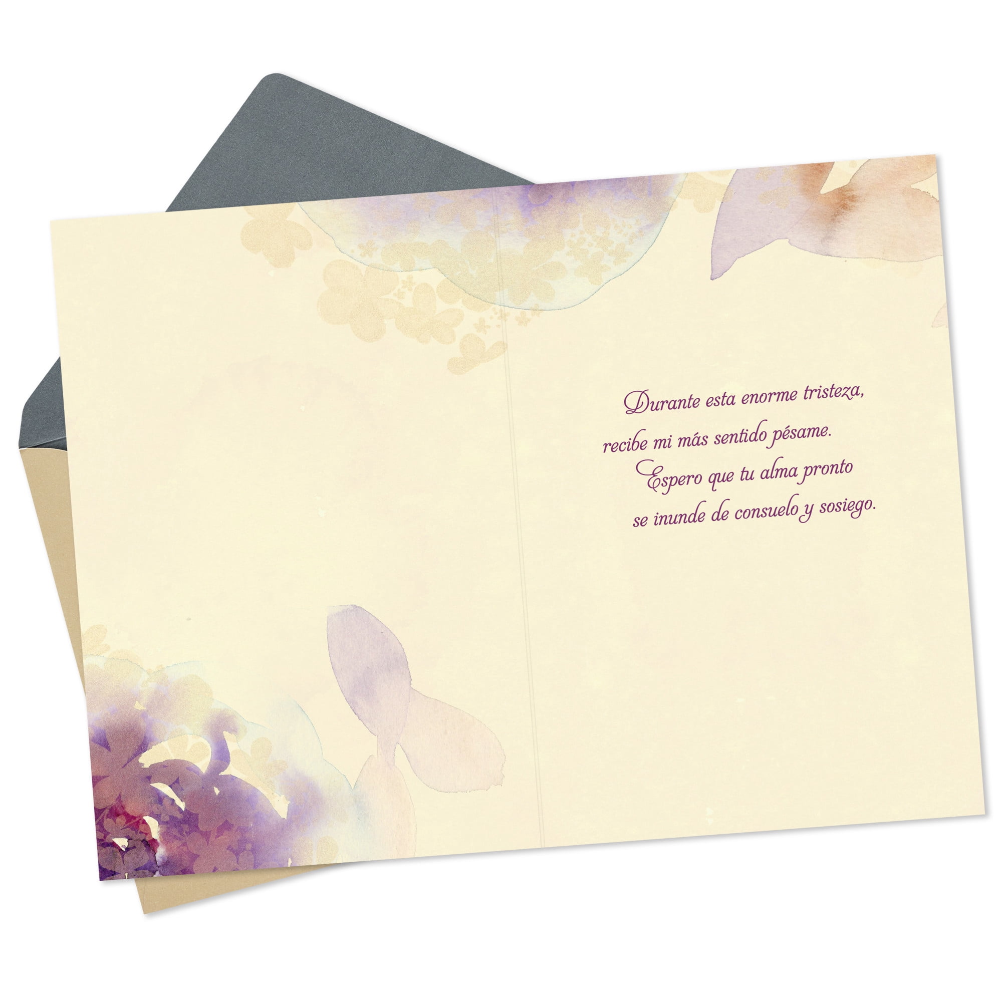Hallmark VIDA Spanish-Language Sympathy Card (It Always Hurts to Say Goodbye)
