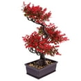 thumbnail image 4 of Plantas artificiales en macetas de escritorio Faux plantas en macetas Ornamento para bonsai para casa, 4 of 7