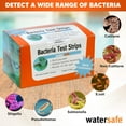 thumbnail image 4 of The Original Watersafe Rapid Bacteria 10 Test Kit - 1,000 CFU/mL Detection of Coliform and Non-Coliform Bacteria in Minutes - E. coli, Salmonella, and More - Easy Instructions for Pool and Spa 2PACK, 4 of 15