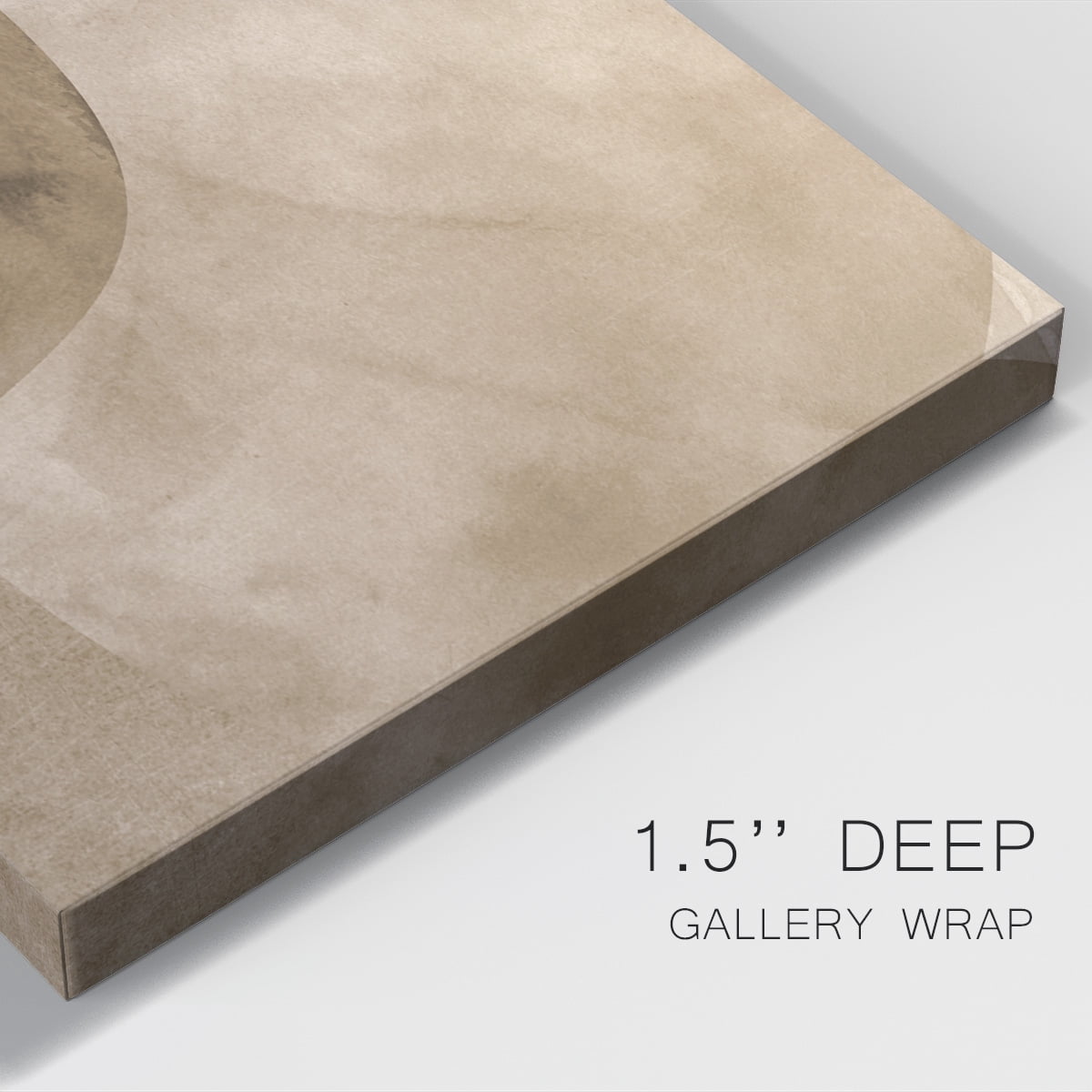 Neutral Object II Premium Gallery Wrapped Canvas - Ready to Hang