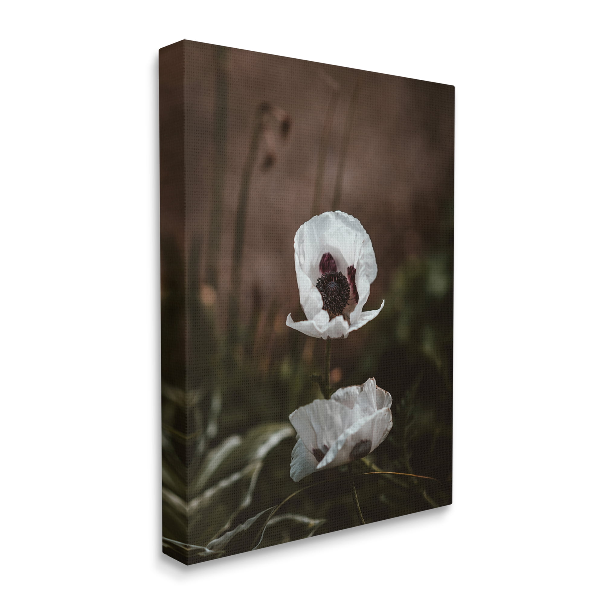 Stupell Industries Lonely White Flower Blossom Forest Photography , 36 x 48, Design by Incado
