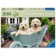 thumbnail image 1 of Rompecabezas Ravensburger Feel Well Golden Retriever de 200 Piezas, 1 of 8