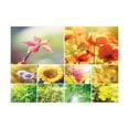 thumbnail image 1 of Ambesonne Country Jigsaw Puzzle, Flower Countryside View, Heirloom-Quality Fun Activity for Family Durable Cardboard, 1000 pcs, Multicolor, 1 of 5